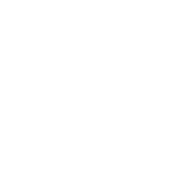 Bissantz Logo RGB White