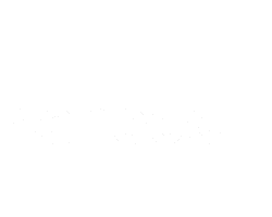 Denodo Logo RGB White