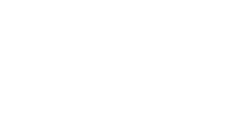 Talend_QlikCompany_Logotype-White_300_RGB